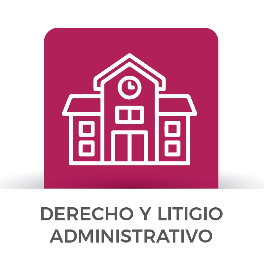 Derecho y Litigio Administrativo
